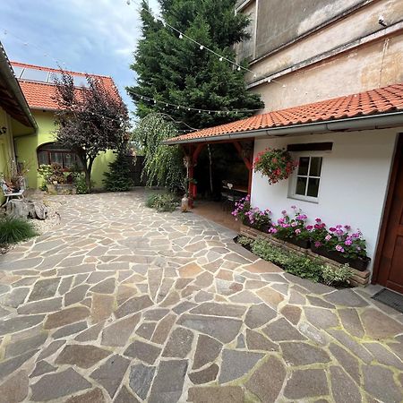 Penzion Primase Dolni Vestonice Buitenkant foto