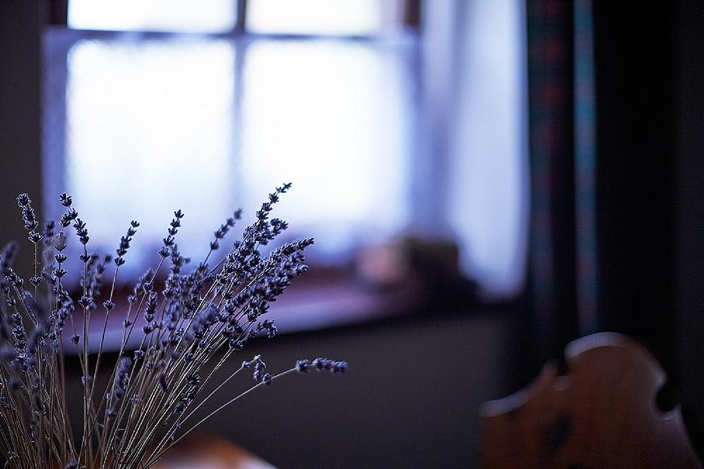 Penzion Primase Dolni Vestonice Kamer foto