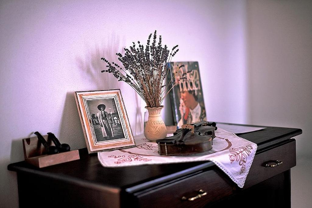 Penzion Primase Dolni Vestonice Kamer foto