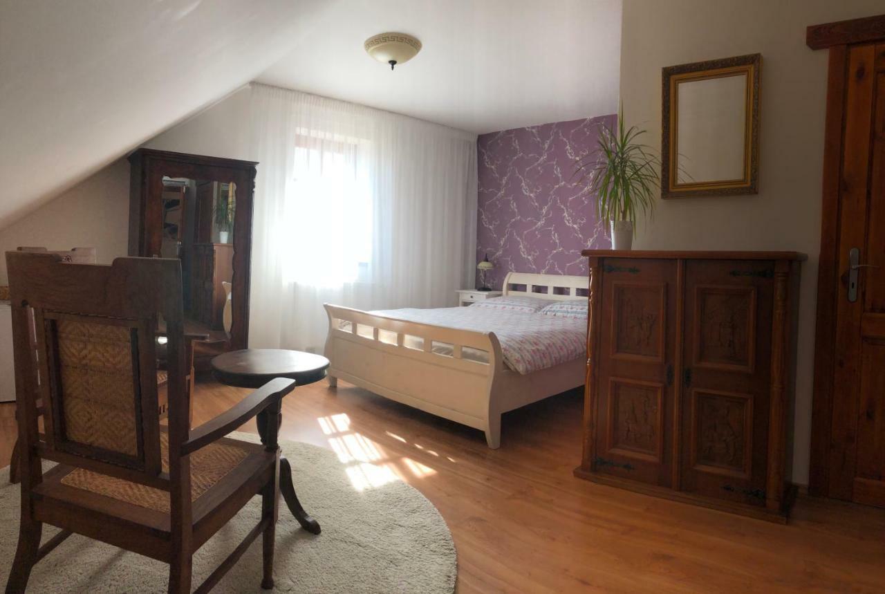 Penzion Primase Dolni Vestonice Buitenkant foto